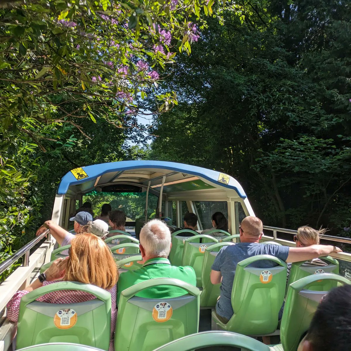 Microbiolottie's tweet photo. Shout-out to the 599 🚍 never been happier to get the open top bus in my life ☀️ https://t.co/tjtZEP2Lkp