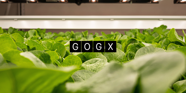 Hello Friends,

Exciting news! We have a new bond offering on SMBX!   We’re continuing to grow every day, which is why we’ve partnered with SMBX to give you–our community the opportunity to invest in our future.
Please don’t hesitate to reach out.
smbx.in/ego