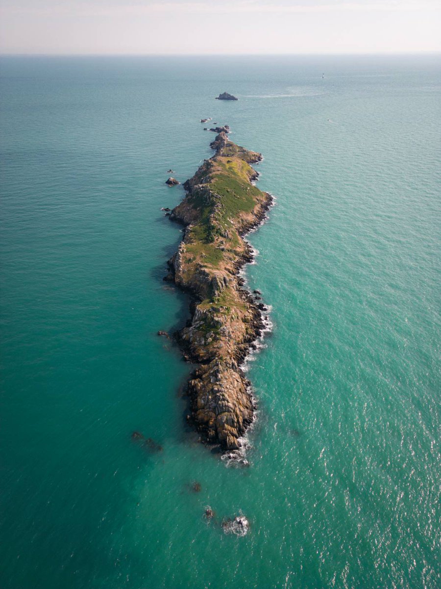 David Bertho tweet media