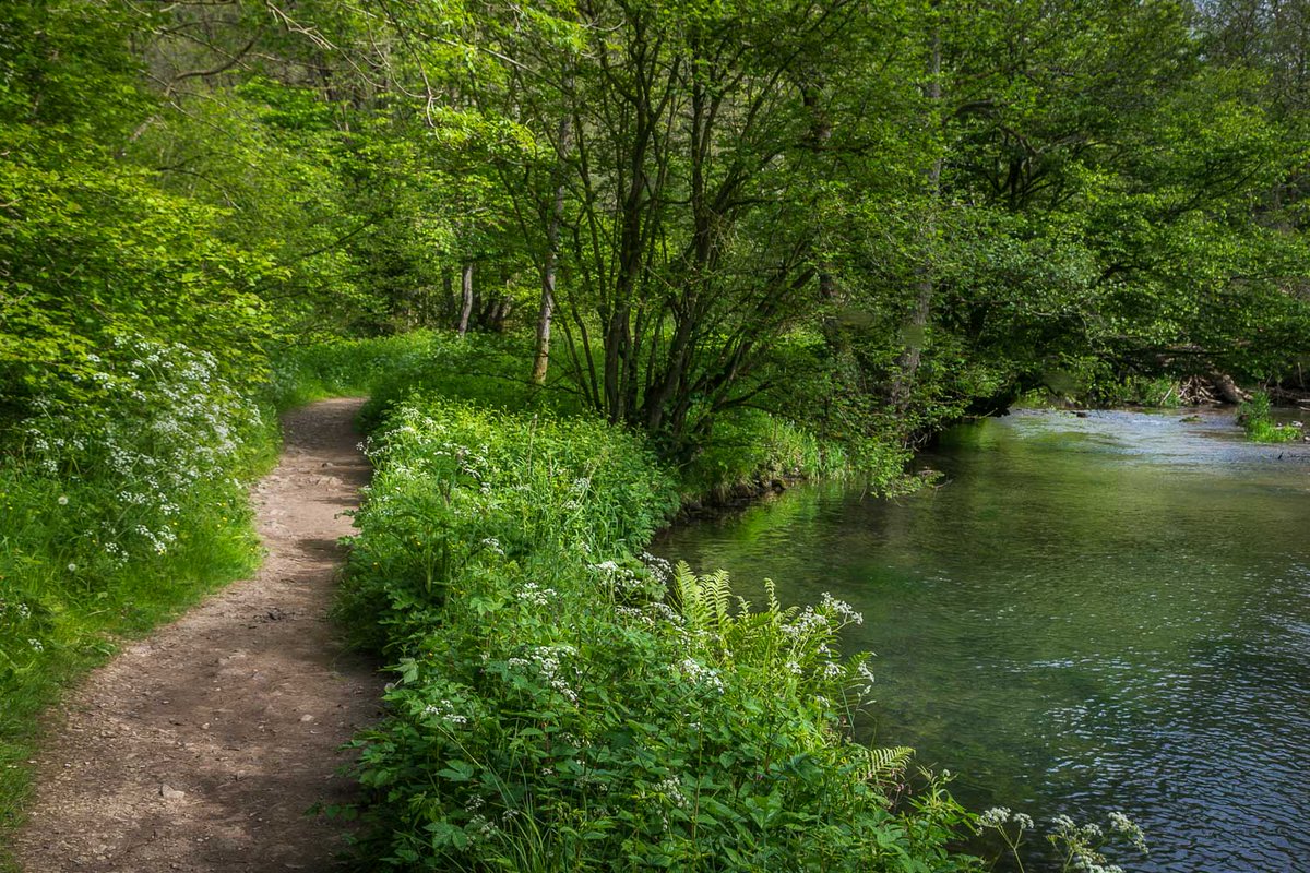 andrewswalks's tweet photo. A walk beside the River Dove
https://t.co/tWkBCZjfnA https://t.co/1BZnKpK2FN