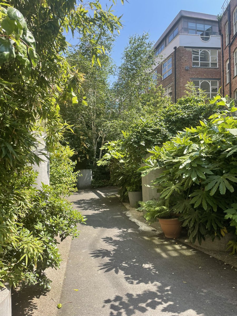 #BID PC Nick out today 👮🏻‍♂️ conducting weapons sweeps around #LondonBridge after several sharp objects, including stanley blades, were found by local gardeners & volunteers 😡 We’re trying to keep everyone safe, if you see anything suspicious ☎️ 999! Enjoy the sun ☀️🙂