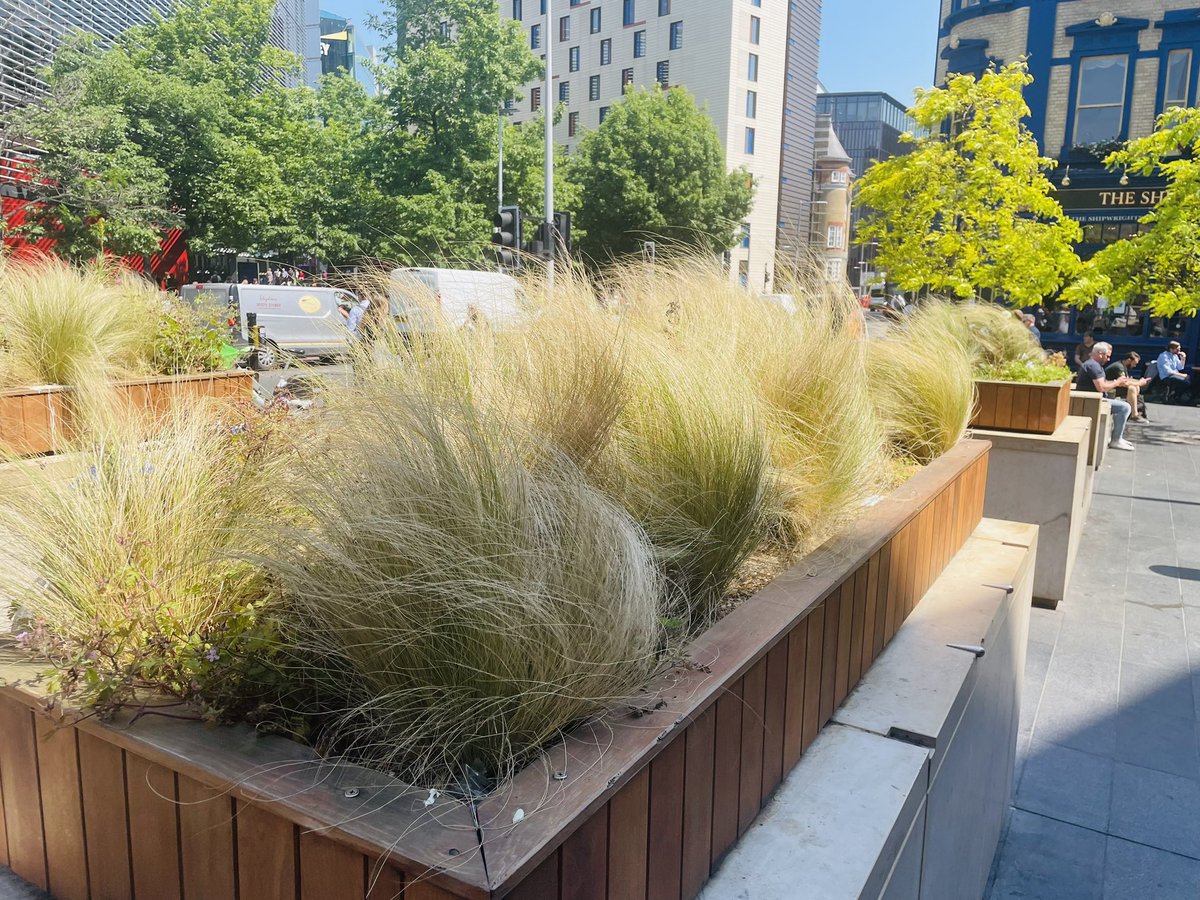 MPSLondonBdgBID's tweet image. #BID PC Nick out today 👮🏻‍♂️ conducting weapons sweeps around #LondonBridge after several sharp objects, including stanley blades, were found by local gardeners &amp;amp; volunteers 😡 

We’re trying to keep everyone safe, if you see anything suspicious ☎️ 999! Enjoy the sun ☀️🙂