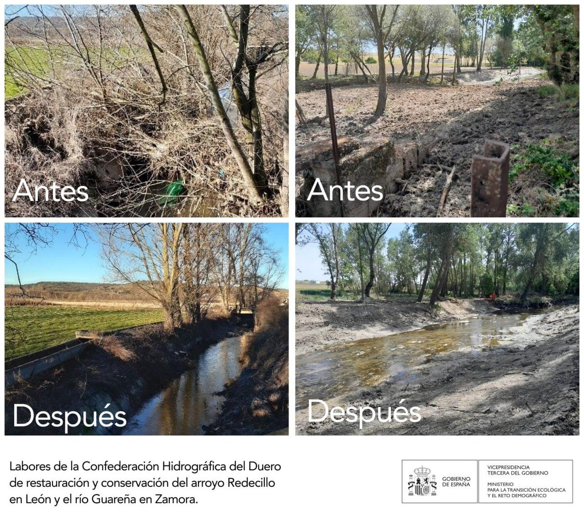 Teresaribera's tweet photo. Pero no solo nosotros vivimos del agua, debemos actuar sobre el impacto en los ecosistemas.
Por ello la Estrategia Nacional de Restauración de Ríos #ENRR
🏞 Fomenta la continuidad longitudinal
🌾 Restaura la vegetación de ribera
Prevemos restaurar 3000km de ríos https://t.co/Fc2KSPl5mI