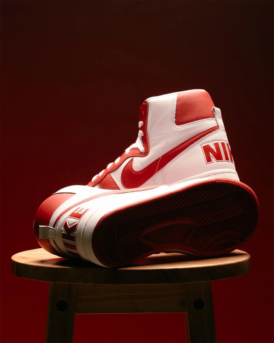 The Nike Terminator High 