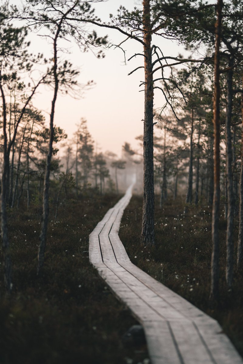 #CallForPapers! Eschewing time-worn hierarchies, boundaries, &amp; allocation methods, "maverick" organization design is ripe for exploration. A new special issue for practitioners &amp; academics will advance understanding. Optional proposals due June 15th! More: shorturl.at/IMPX9