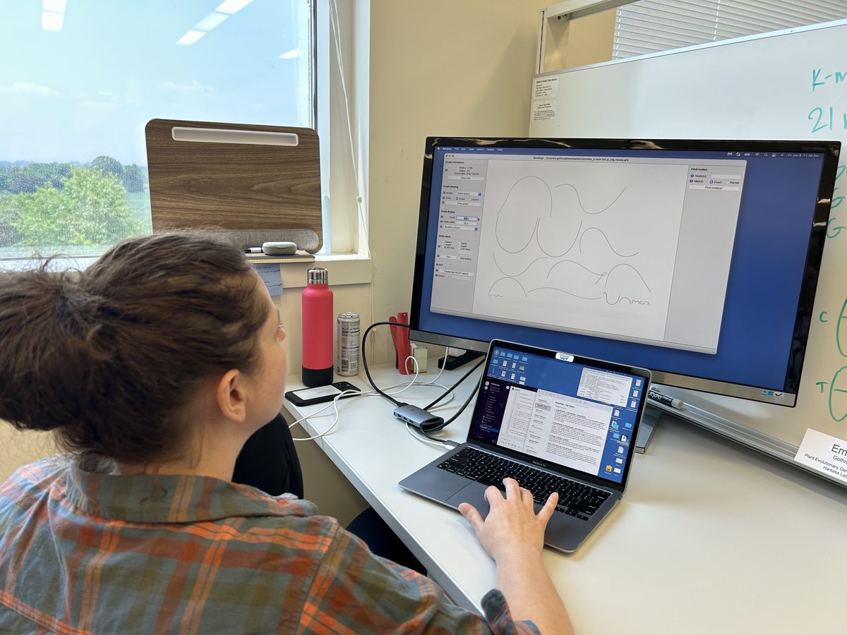sarahbcarey's tweet photo. Had a great first week with the @hudsonalpha #BioTrain interns! Hung out in the greenhouse w/Jocelyn Dieselberg who’s working w/ @_johntlovell & Emily Gothro who’s working on Cannabaceae genome assemblies w/us in @aeharkess lab. Less than a week, & Emily’s already got contigs! https://t.co/KE4dT0oADS