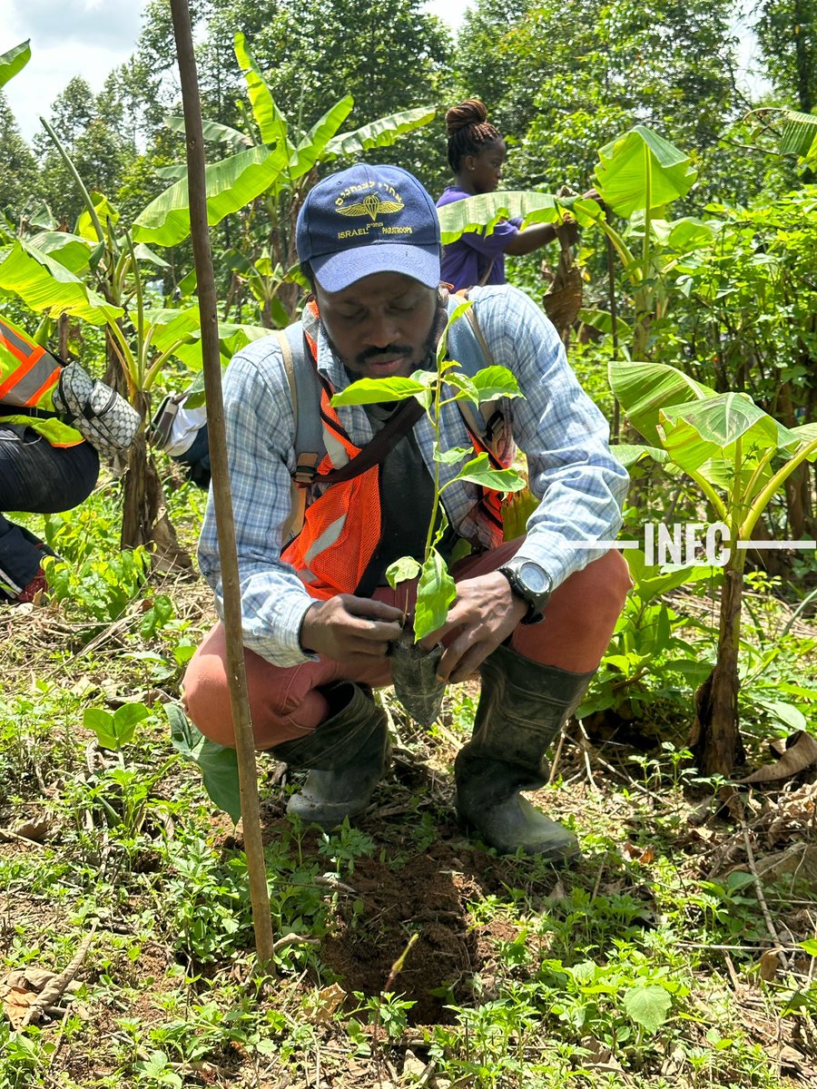 We are planting trees 🌳 
#PlantTrees #ChangeLives #LetsGetPlanting #WorldEnvironmentDay2023 #GreenGhana