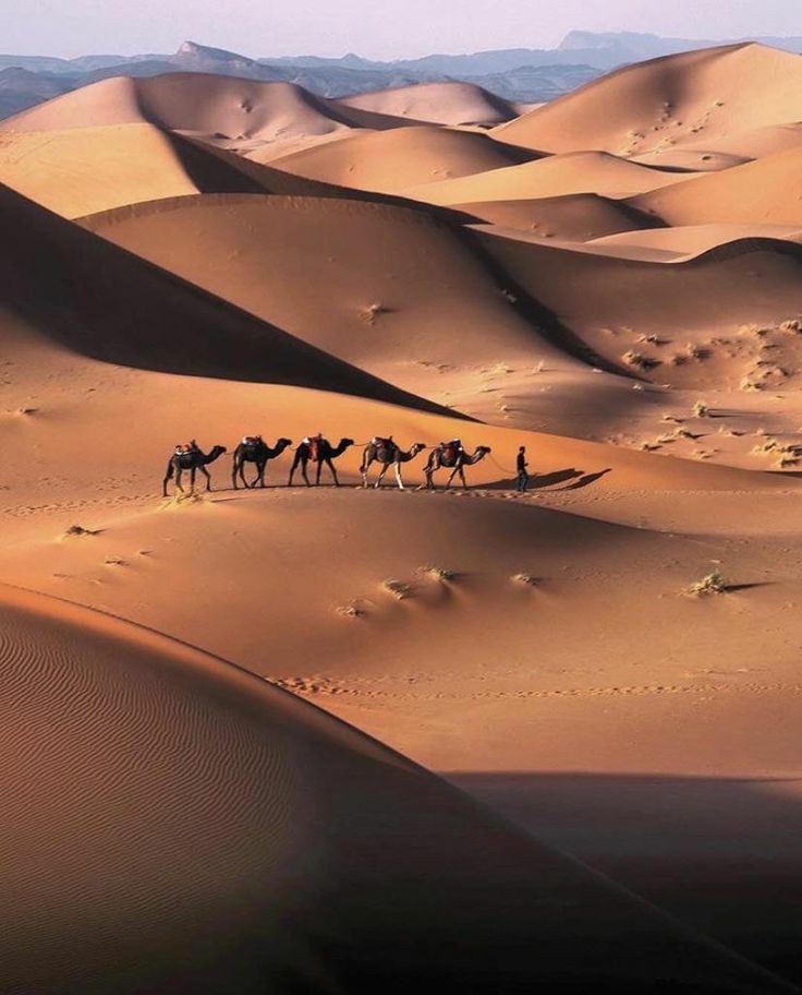 Sahara  Morocco