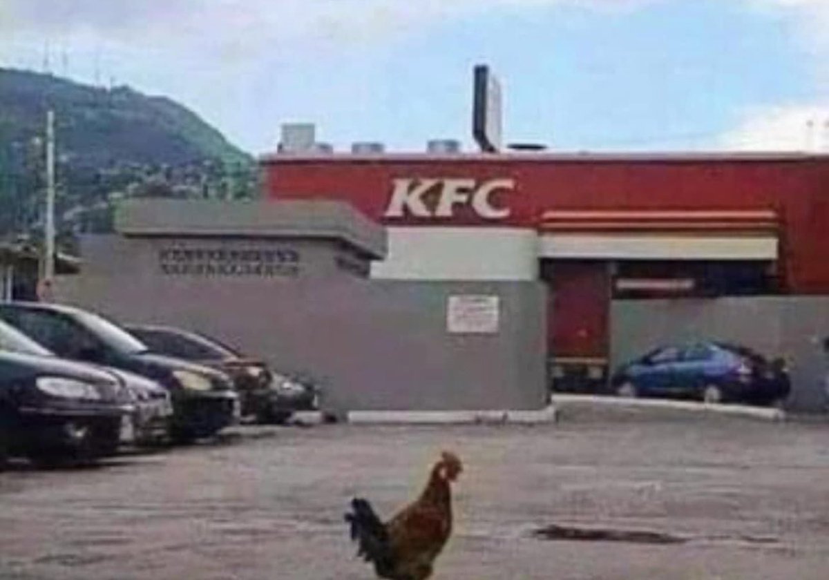 CoversThatRule's tweet image. #albumcover #cover #chicken #KFC