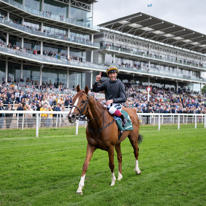 Who is your favourite ever racehorse beginning with the letter S?
