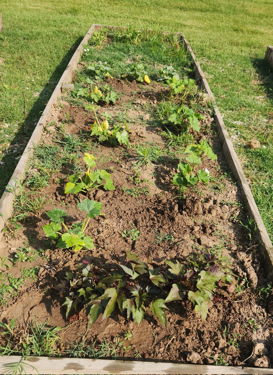 Mrs. Kidwell or Mrs. K tweet media