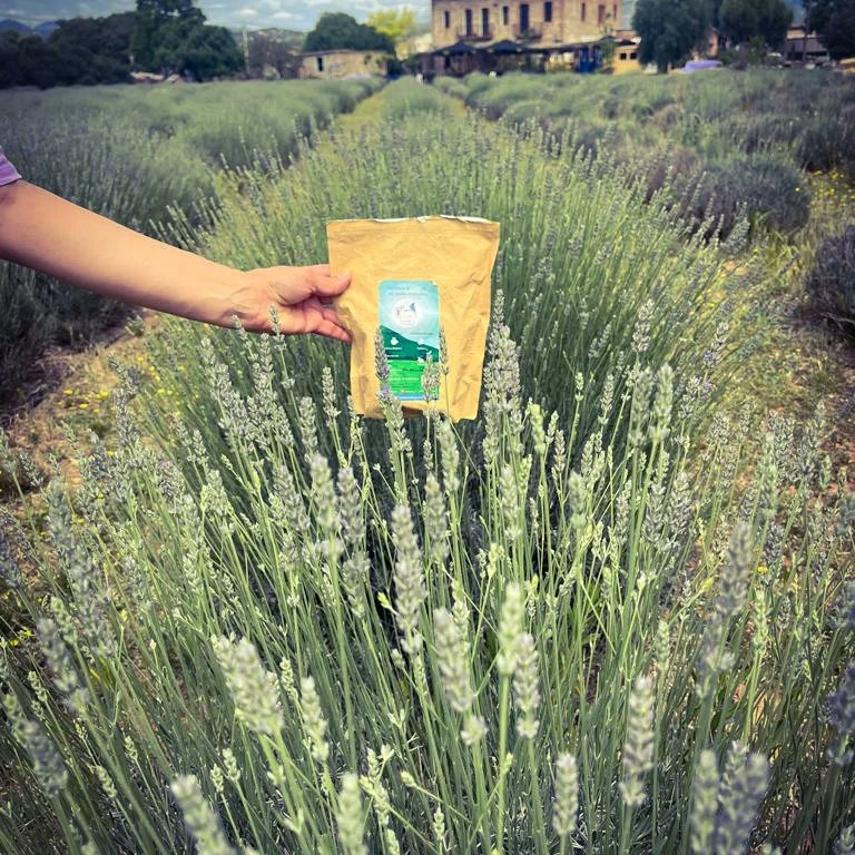 Disfrutar un café especial de origen Dolores Tolima, a muchos kilómetros de distancia es un gran privilegio que como Colombianos no nos debemos privar. Regala siempre lo mejor de nuestro gran país lo mejor de tu tierra. #cafedolorestolima #cafeazulejo #buencafe☕