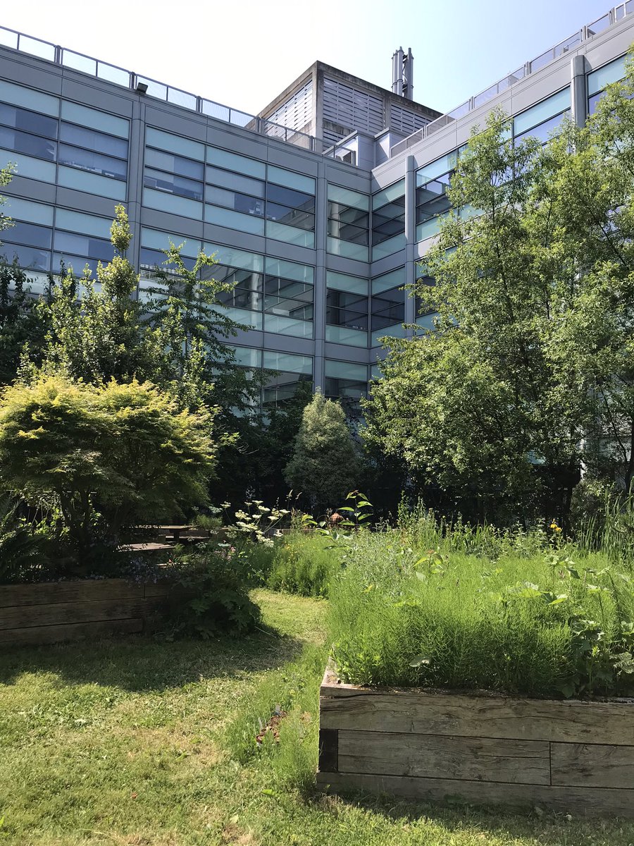 samlittler282's tweet photo. Had a fantastic afternoon at #ESShowcase23 organised by @FBMH_SR, with an informative talk from @GreenLabGuy about the benefits of switching ULT freezers from -80oC to -70oC &amp; hearing all about the great ES projects conducted by UoM students 🤩 https://t.co/DfzL3Q4Jn9