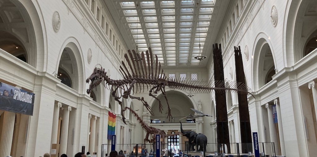 darcy_shapiro's tweet photo. When the Eras Tour is at Soldier Field, you gotta stop in to see #Swimbo 

#Spinosaurus #FossilFriday https://t.co/vHswLQOKNh