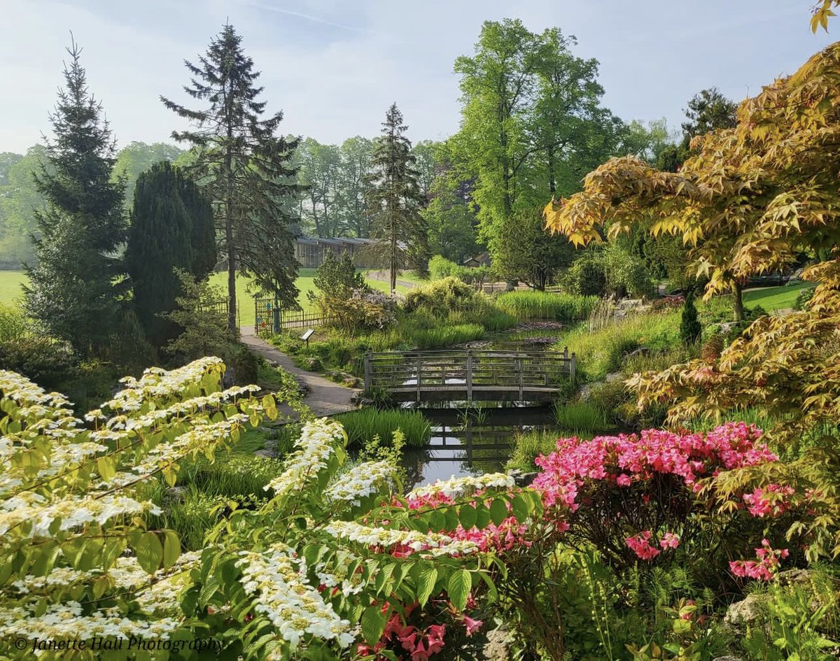 nicolljohn's tweet photo. The Japanese Garden 🌸

Preston 📌

Credit: Janette Hall https://t.co/Jmd9krrmdD