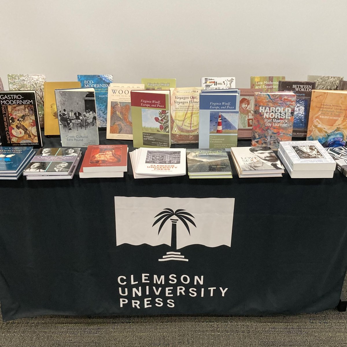We have a table at the #VWoolf2023 conference in Fort Myers, FL. If you’re here, come check out and possibly get a good deal on a book!