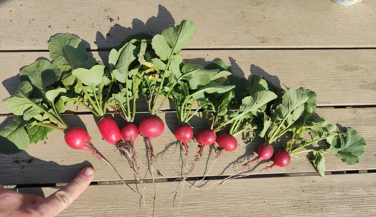 James / @jtruk@mastodon.social tweet media