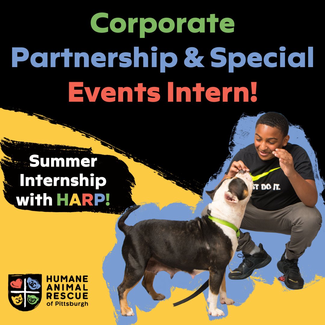 HARPSavesLives's tweet image. Intern with us this summer in our Corporate Partnership &amp;amp; Special Events Department!  ❤️ 💙 💛 💚
Learn more: bit.ly/3N0E0lY

#harpsaveslives #pgh #adoptlocal #internship #pittsburghintern #career #harp #nonprofit #shelterdogs #sheltercats #threerivers