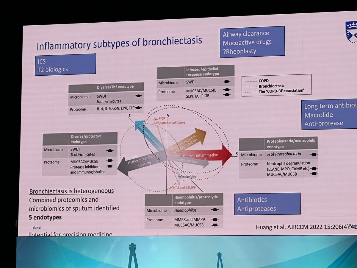 Excellent talk by James Chalmers on advances on the endotypes and therapeutic outcomes …towards precision medicine #BridgesofPulmonology