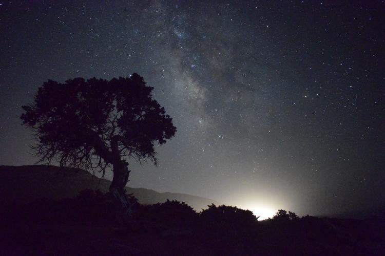 nft_clctr's tweet image. A Piece Of Me  ▲●■
Sharing the magic of my photo collection with you all! 
From breathtaking landscapes to cherished memories, each image holds a story waiting to be told.  📸
#NFTs #nftart #nftphotography
Links 👇