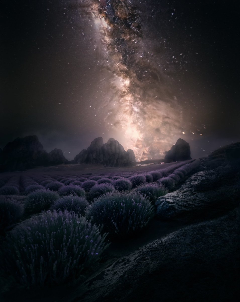 Wnyscenery tweet media