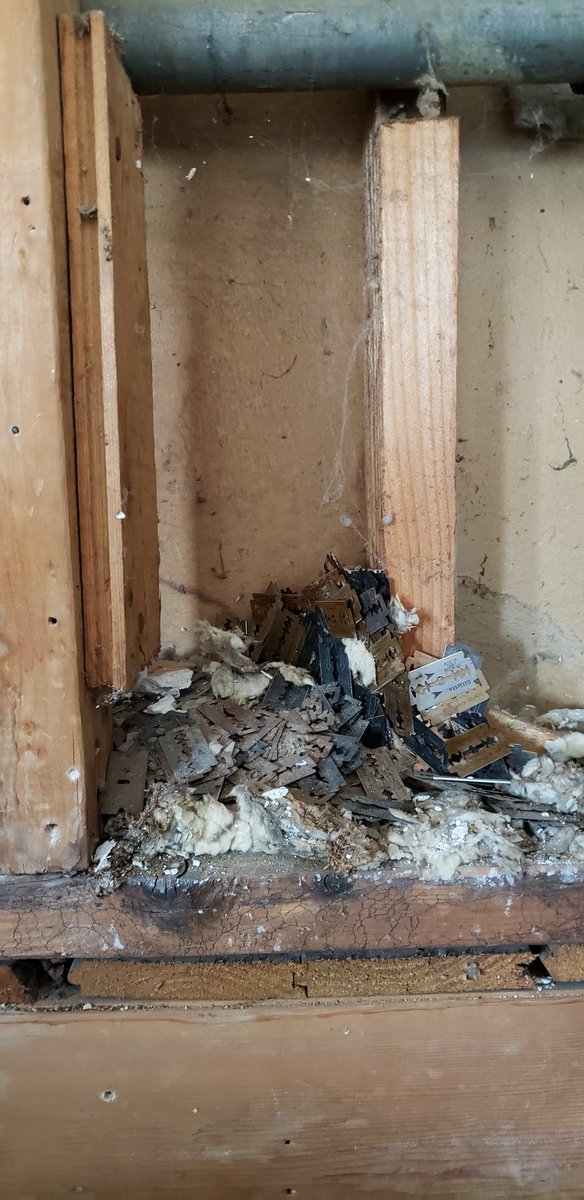 HelloGreedo on Twitter: