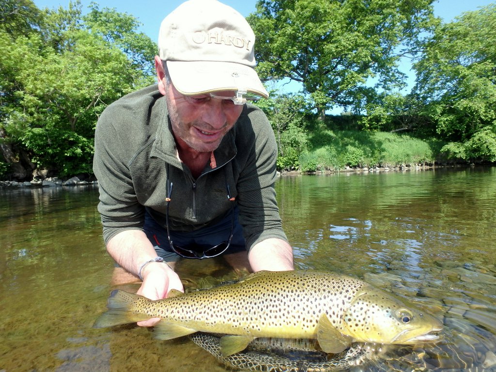 Paul Procter FlyFish (@paulprocter) on Twitter photo Low, clear rivers are making it challenging lately. A lot of tramping and careful observation paid off in testing conditions. This NZ-esque beauty fell to a carefully presented PP All Purpose Terrestrial on the <a href="/Hardy_Fishing/">Hardy Fishing</a> 99" #3 Ultralite LL. Cop for the shoulders on him! Low, clear rivers are making it challenging lately. A lot of tramping and careful observation paid off in testing conditions. This NZ-esque beauty fell to a carefully presented PP All Purpose Terrestrial on the <a href="/Hardy_Fishing/">Hardy Fishing</a> 99" #3 Ultralite LL. Cop for the shoulders on him!
