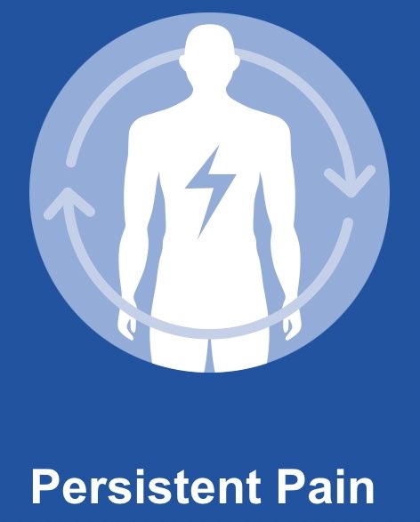 UHCW MSK Physio (@uhcw_mskphysio) on Twitter photo 🚨NEW #Persistentpain self-care guide
🤝Co-produced by pain experts <a href="/nhsuhcw/">UHCW NHS Trust</a> and experts with lived experience of persistent pain <a href="/loulouscorpio/">Louise Trewern 🇬🇧</a> @livewellpain and others.
🔥Available in MULTIPLE languages🌎
➡️ uhcw.nhs.uk/self-care/pers…
🙏🏼PLEASE help us share it 🚨NEW #Persistentpain self-care guide
🤝Co-produced by pain experts <a href="/nhsuhcw/">UHCW NHS Trust</a> and experts with lived experience of persistent pain <a href="/loulouscorpio/">Louise Trewern 🇬🇧</a> @livewellpain and others.
🔥Available in MULTIPLE languages🌎
➡️ uhcw.nhs.uk/self-care/pers…
🙏🏼PLEASE help us share it