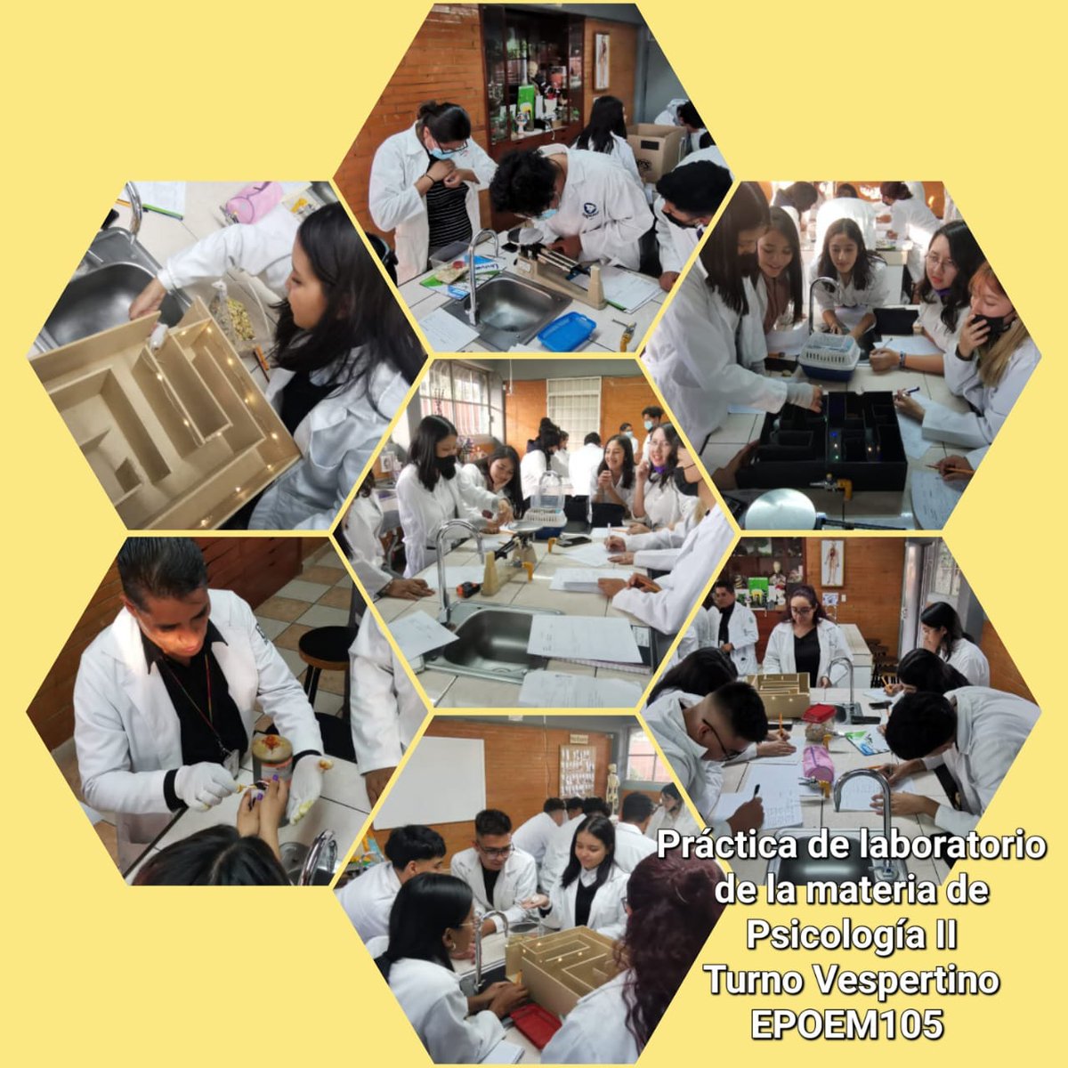 num_105's tweet photo. Como parte de nuestras actividades académicas, se realizan practicas de laboratorio con los alumnos del turno vespertino, en la materia de psicología 
@dbg_epoem
@DeSubdireccion
@SBg035
@veronic11249704 https://t.co/IrA8OzQ1Y2