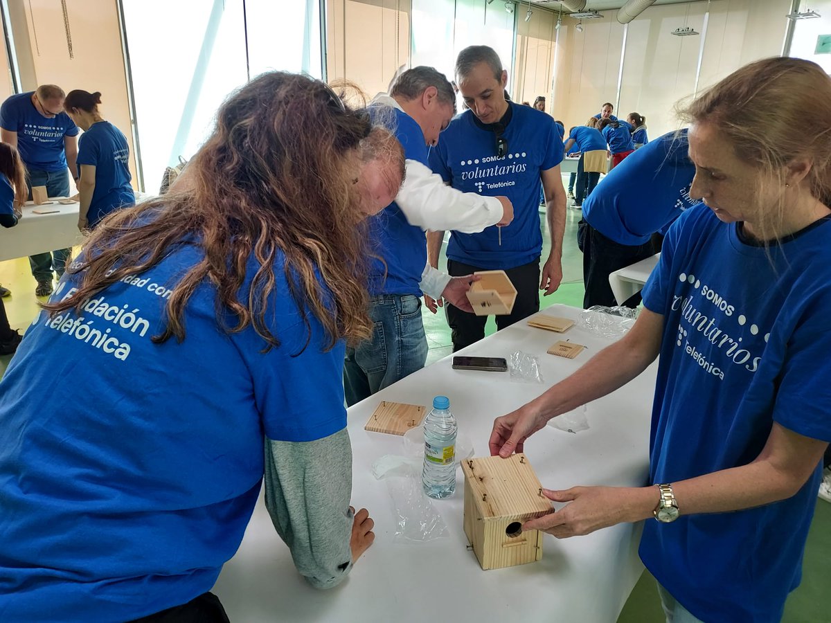 GNMedioAmbiente's tweet photo. Todo un éxito un nuevo #DIVT @VolunTelefonica @fundacionTef cientos de #voluntarios nos han ayudado a promover la #biodiversidad #ríoJarama #parquedeElHumedal #deltadelllobregat construyendo e instalando #cajasnido para aves #paseriformes https://t.co/08KNtStfMz