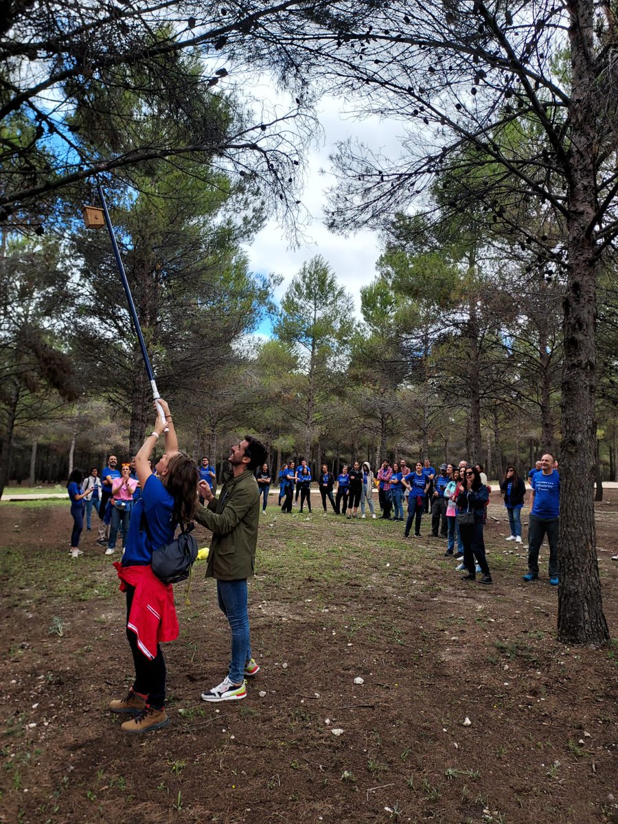 GNMedioAmbiente's tweet photo. Todo un éxito un nuevo #DIVT @VolunTelefonica @fundacionTef cientos de #voluntarios nos han ayudado a promover la #biodiversidad #ríoJarama #parquedeElHumedal #deltadelllobregat construyendo e instalando #cajasnido para aves #paseriformes https://t.co/08KNtStfMz