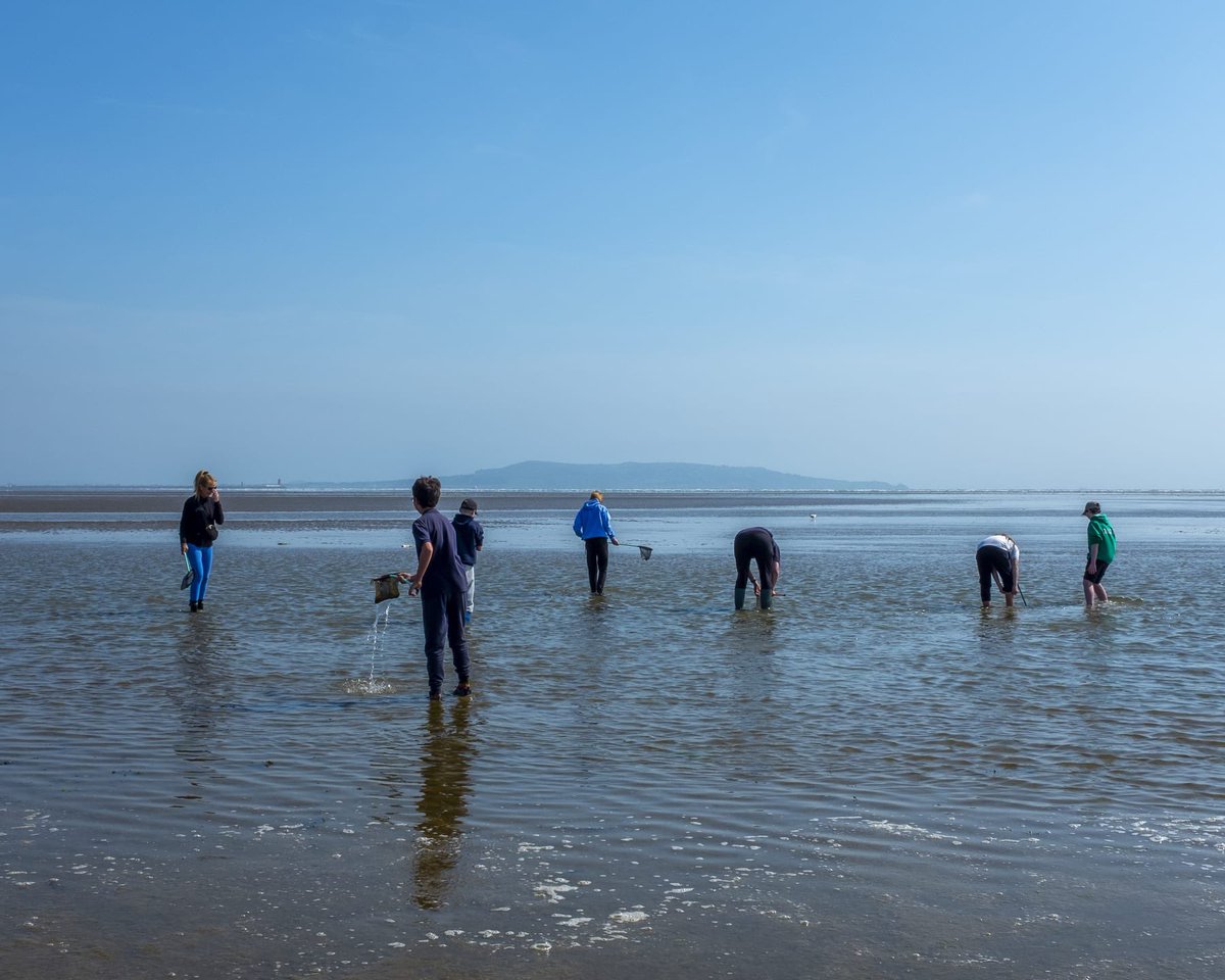 Sixth Class and the #greenschools committee had a fantastic seafari today with Mona from <a href="/SEASHOREKIDS1/">SEASHOREKIDS</a> <a href="/MarineInst/">Marine Institute</a> at Booterstown seashore.
