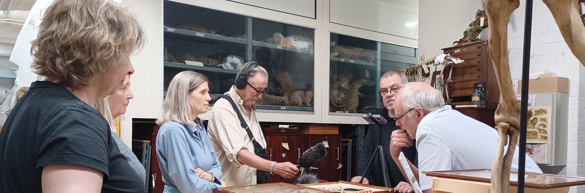 #MuseumWeek  @bristolmuseum artists and researchers finding out more about the Large Blue Butterflies  as part of the @HelloBrigstow  and @cabotinstitute initiative Personal to the Planetary, with the help of expert @mrraybarnett