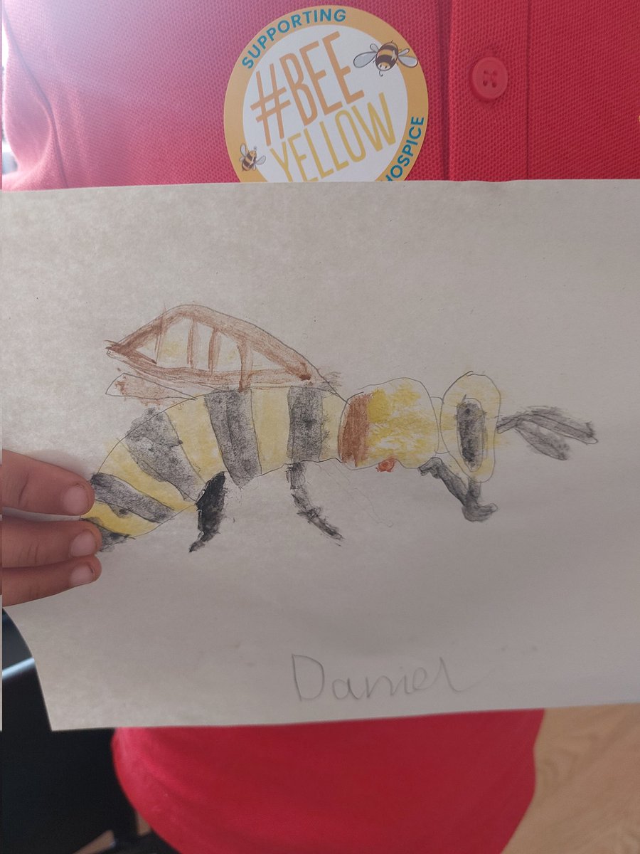 stfrancisp2's tweet photo. Today was a day devoted to #beeyellow for @strathcarron1 We look at what a bee actually looks like and then did a real-life drawing. We then used watercolours to bring our bees to life. Don't you agree these are amazing for p2s! https://t.co/2RCGiWR4Na