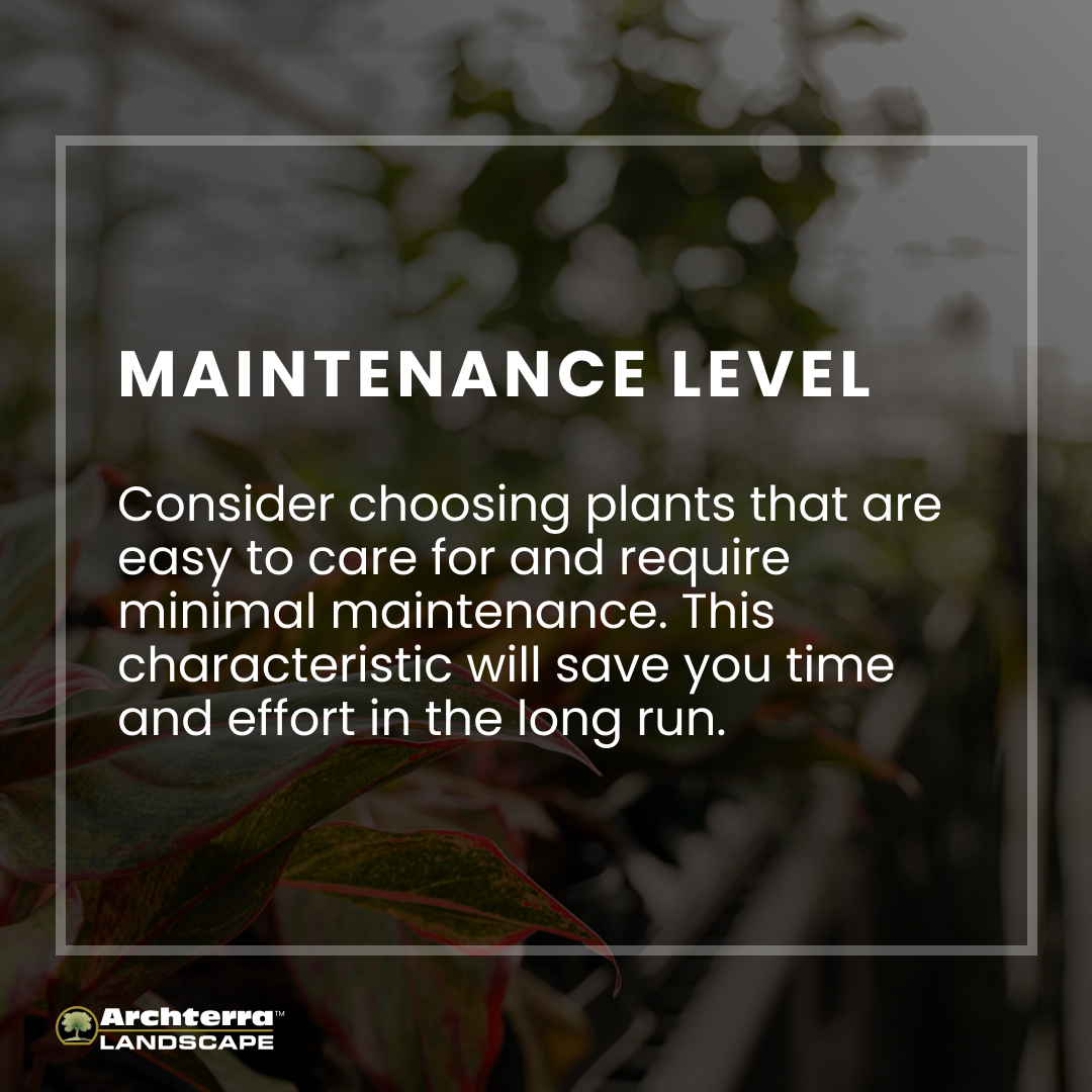 🌿 Greenify with Purpose: Read our top plant selection tips to help you find the perfect plants for your space! 🌱

#archterra4life #worththewait #investinginourpeople #homeimprovement #landscaping #landscapedesign #laketapps #gigharbor #edgewood #auburn #puyallup #tacoma
