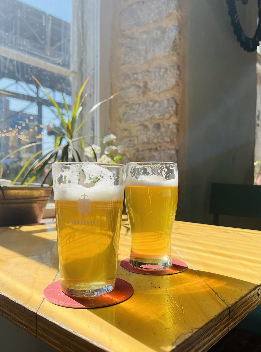 PudelBaarCaskAle tweet media