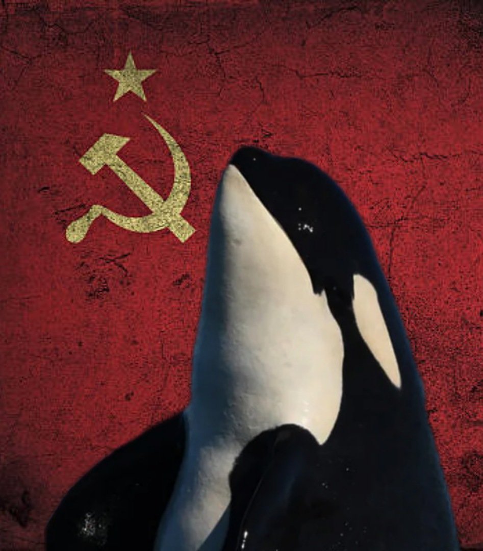 ES HORA DE LA REVOLUCIÓN INQUILINA. DO IT FOR GLADYS.