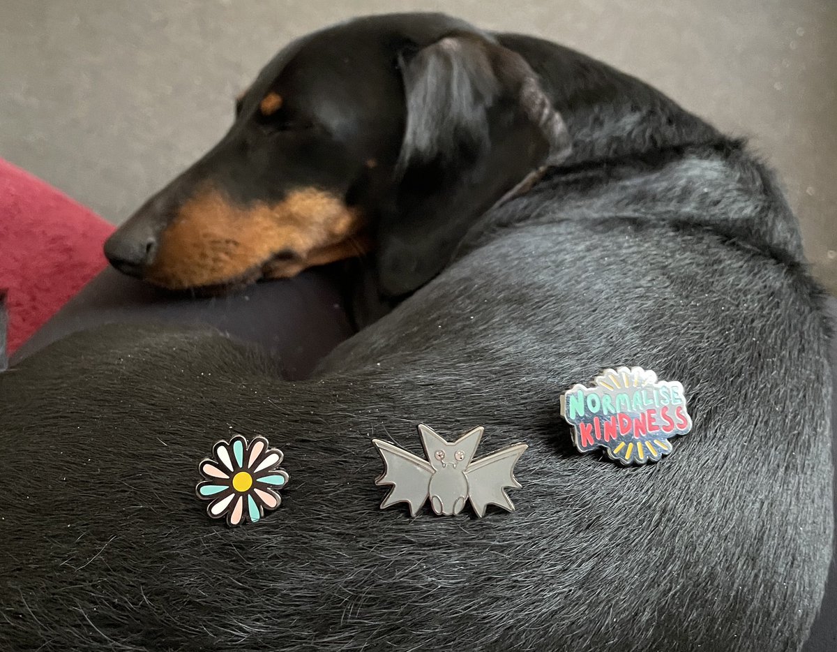 TeamGender's tweet photo. @LunaAfflecks Loving these cute pins (modelled here by little Penny sausage) but I accidentally ordered the ‘Normalise Kindness’ pin instead of the patch. Well, hey you can never have too many pins, right? I’ve just ordered the patch now too 😊 https://t.co/1o9fuHnR6M