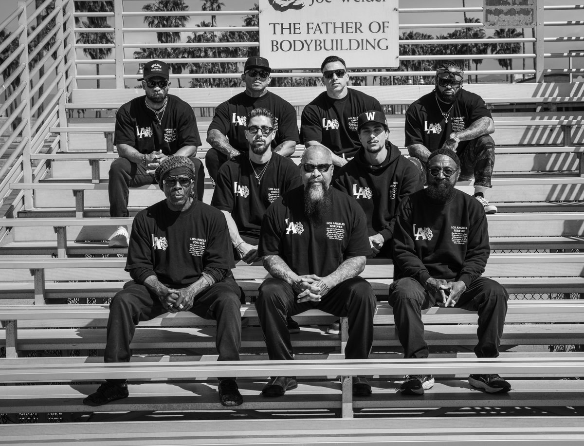 AMERICAN WOLF - RELEASING  6.25.23