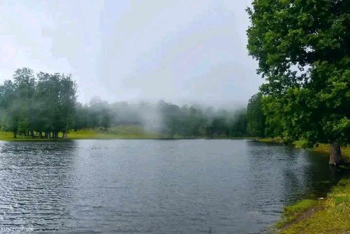 بحيرة الغدير أم لحناش بولاية ميلة شرق #الجزائر 🇩🇿