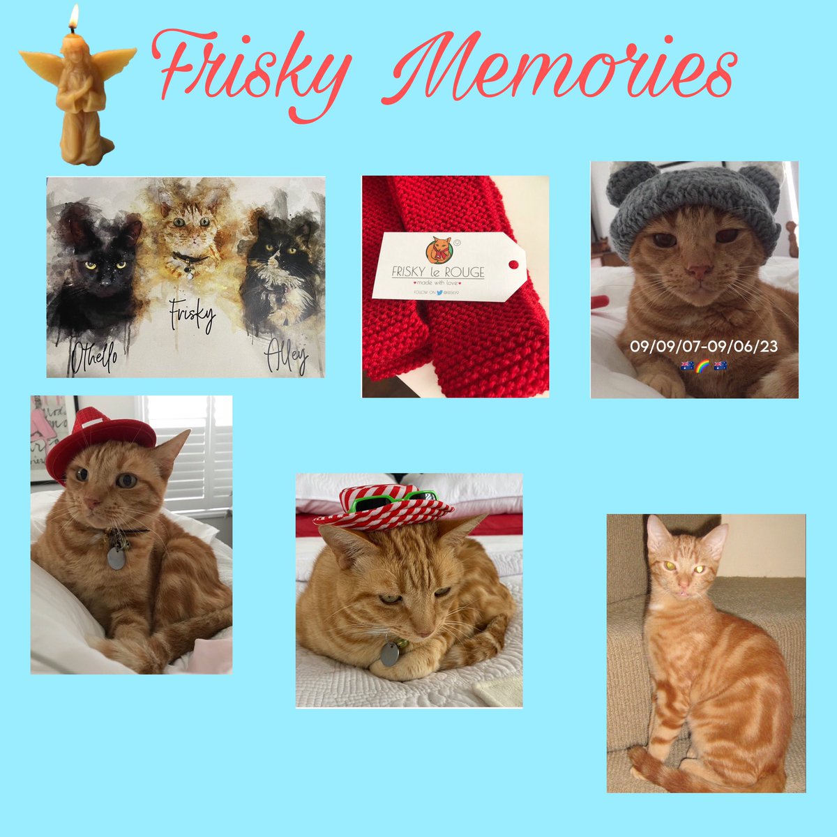 #ACandleForFrisky #RainbowBridge #CatsOfTwitter 
@frisky9