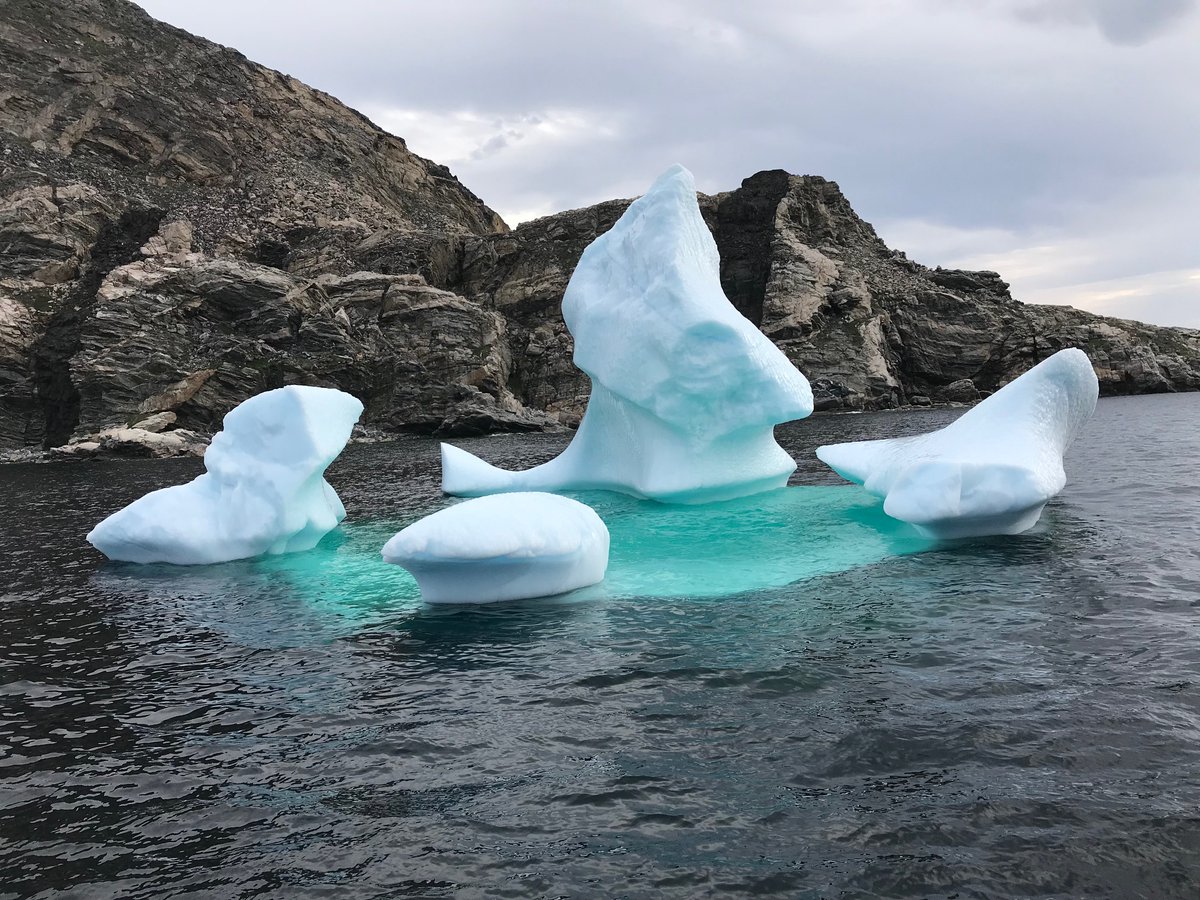An enchanting encounter in the Torngat mountains.

#torngatmountains #torngats #exploretorngats #Labrador #northernlights #serenity #nature #iceberg