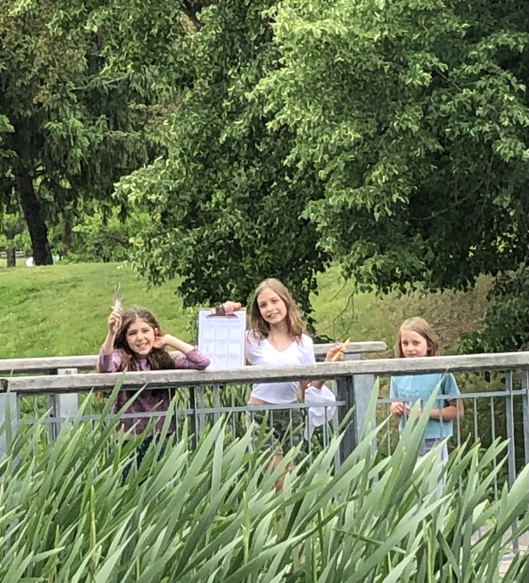 LakeviewPS tweet media