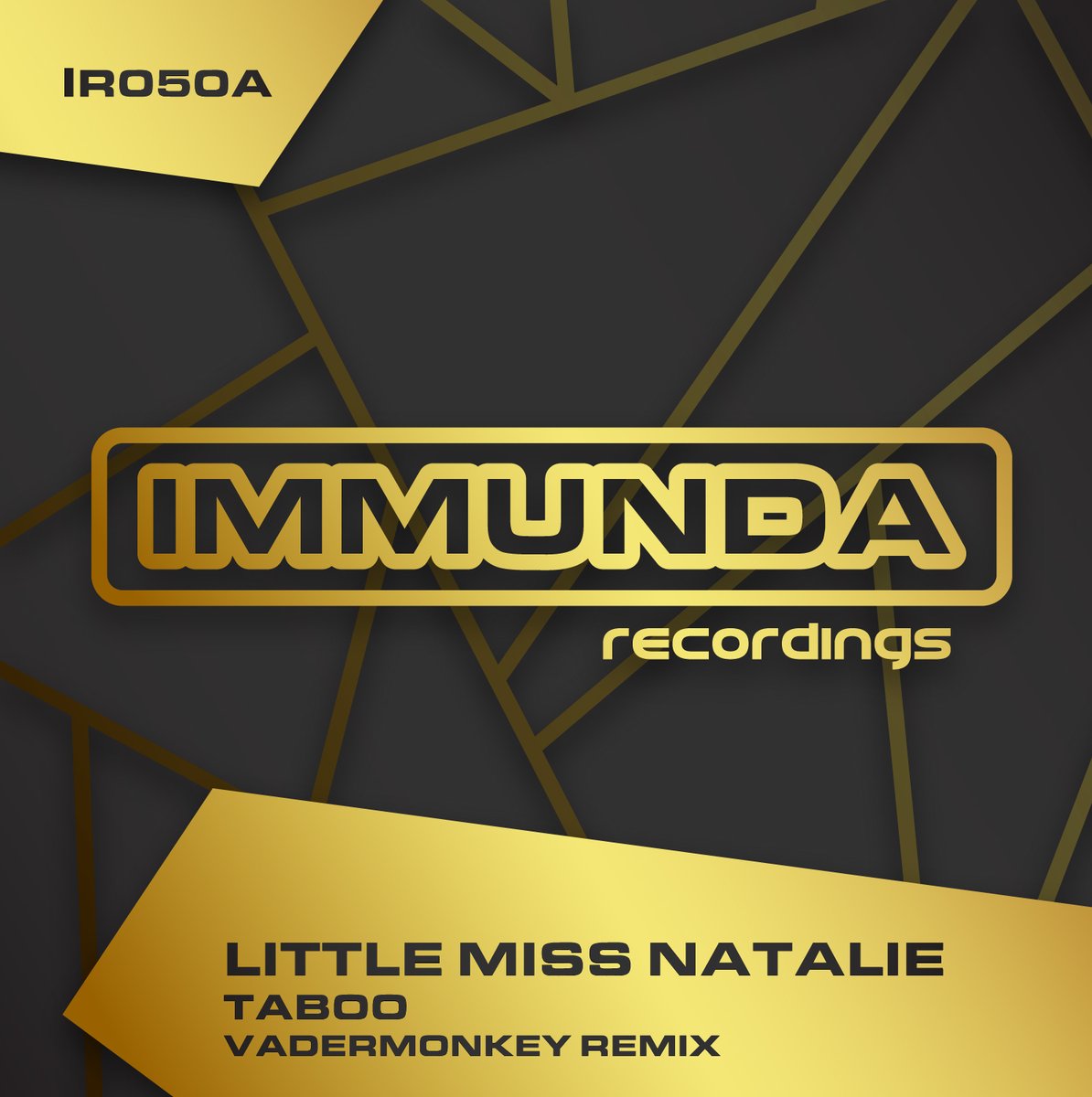 Little Miss Natalie - Taboo - Vadermonkey Remix

The first in a six remix special to celebrate Immunda's 50th release of the No.1 selling tune by Little Miss Natalie, Taboo &amp; featuring some of the best procuders currently on the Hard House scene:

toolboxdigitalshop.com/exclusive/litt…