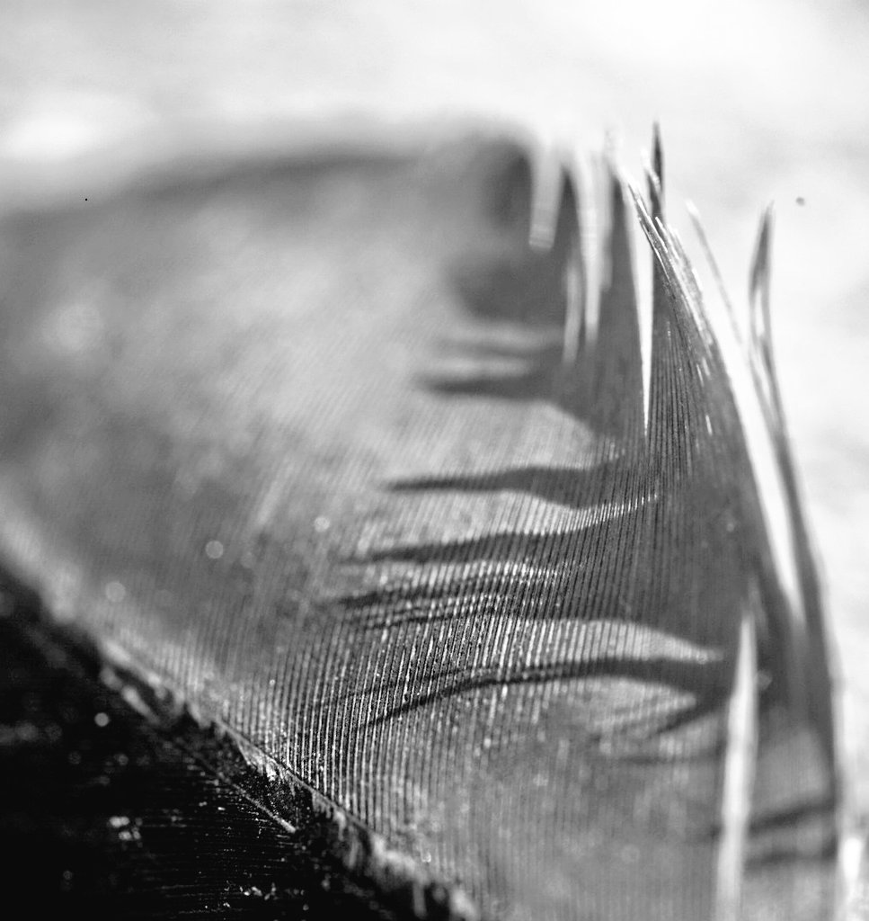 Schatten die unüberwindlich scheinen
Bedeuten gleichzeitig das viel Licht scheint