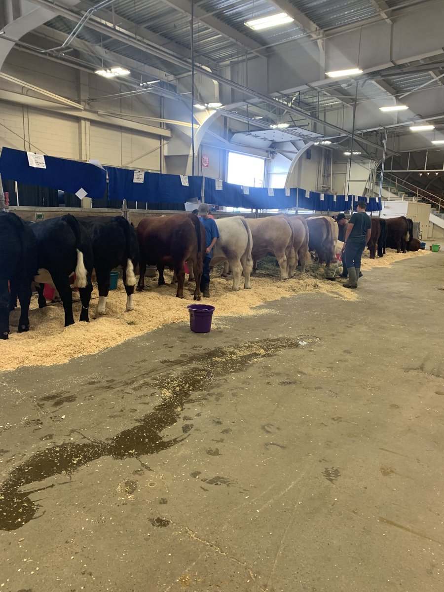 Matt Slingerland tweet media