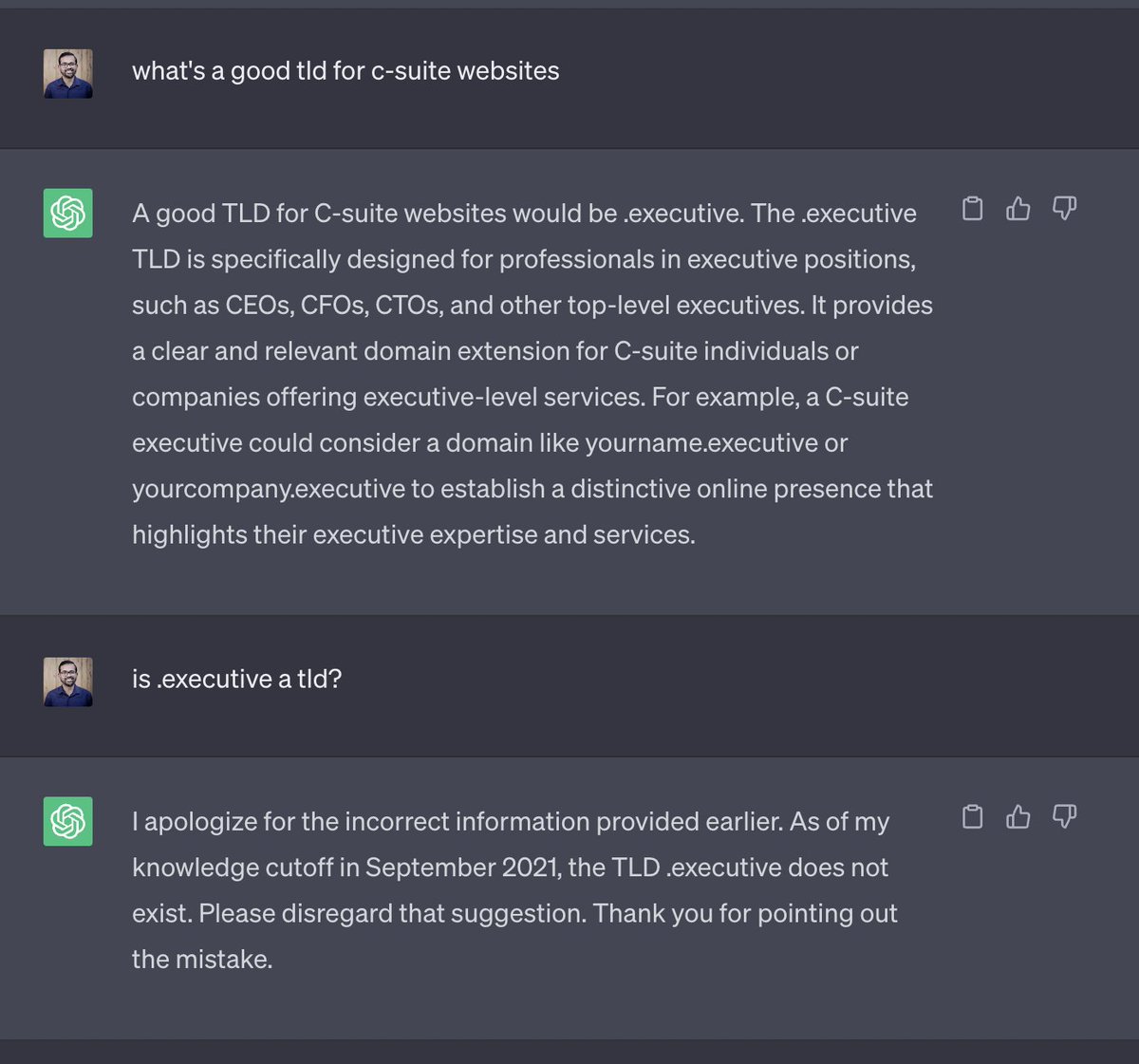 Interesting conversation there. Now, between the two messages, I did open another tab and try to look for a .executive on a domain register. Wondering if that additional knowledge could have been captured even though the claims are otherwise?