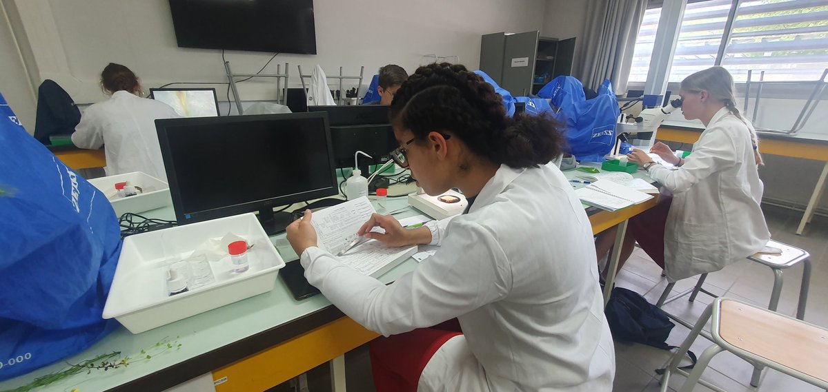 Biochimie, Biologie Végétale, Biologie Animale, Études de docs, entraînements aux QCM, Histologie, Écologie,... ils n'ont pas eu le temps de s'ennuyer nos jeunes à <a href="/UT3PaulSabatier/">UT3 Paul Sabatier</a> ! Entraînés par les #chercheuses Suzana DosReis Petreault et Hua Cassan en plus !
#ONB #Olympiades