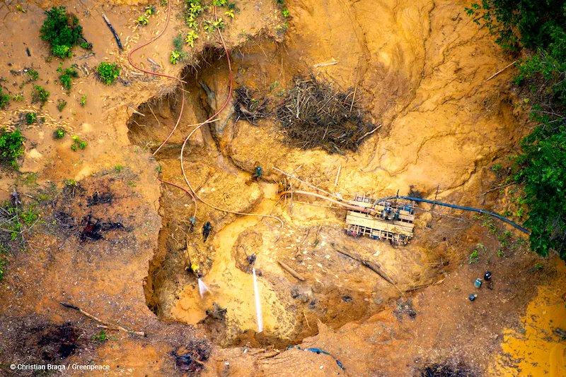 conexaoplaneta's tweet image. #ProjetoDeLei propõe transformar #ecocídio em #crime no Brasil ✊✊✊ Objetivo é tipificar o delito no #TribunalInternacional de #Haia, aperfeiçoando a #LeiDeCrimesAmbientais ao criminalizar casos gravíssimos de #destruiçãoambiental, como #Brumadinho 🔥 buff.ly/43UPs9T