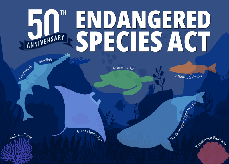 NOAA Education tweet media